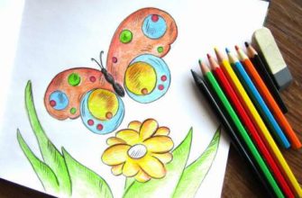 Рисунок карандашами "Бабочка на лугу"