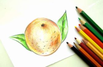 Апельсин карандашами