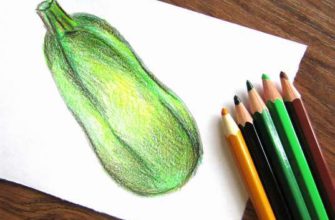 кабачок карандашами