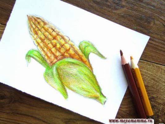 Схема рисунка кукуруза