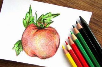 помидор карандашами
