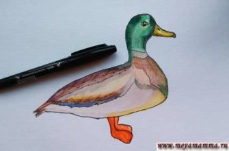 рисунок Утка