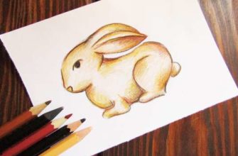 рисунок заяц карандашами