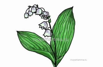Как нарисовать ландыш
